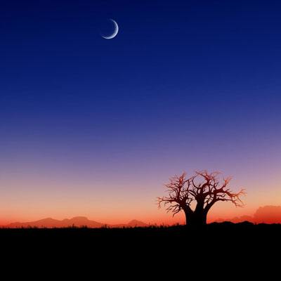 澳门新莆京游戏大厅app下载