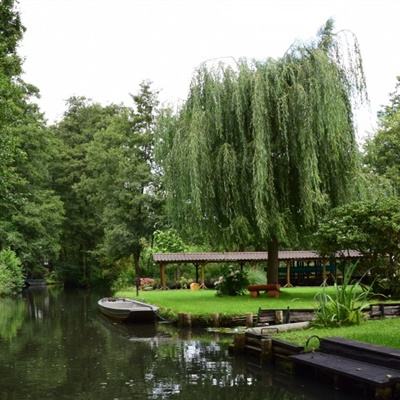 皇冠正规娱乐平台手机app下载