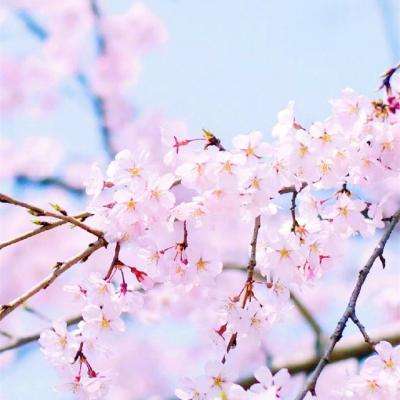 皇冠足彩官网下载最新版