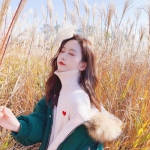 爱游戏平台手机app下载